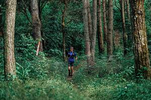 BIB: 
                            <button type="button" onclick="openModal(25237324)" class="btn btn-primary btn-sm float-right btn-popup" data-toggle="modal" data-target=".modal-high-quality">
                        <i class="fas fa-shopping-cart"></i> Add to Cart
                    </button>
                                            <button type="button" onclick="isThisMe(25237324, true)" class="btn btn-success btn-sm float-right btn-popup btn-isme hidden" data-toggle="tooltip" data-placement="bottom" title="นี่คือรูปของคุณใช่ไหม คลิกที่นี่เพื่อเอาเข้าอัลบั้ม">
                        <i class="fas fa-plus"></i> Add to album
                    </button>
                    <button type="button" onclick="isThisMe(25237324, false)" class="btn btn-warning btn-sm float-right btn-popup btn-isnotme hidden">
                        <i class="fas fa-ban"></i> Remove from album
                    </button>